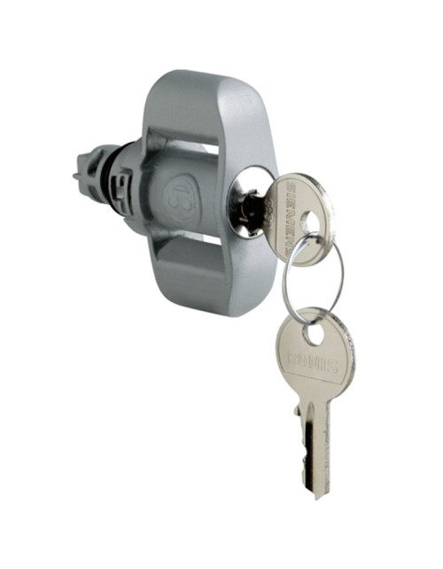 SR VTR Bocchiotti lock with metal key for Pedro series paintings
