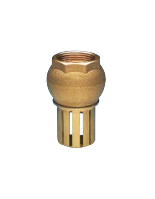 Enolgas foot valve with strainer size 1-1/2 H0041S08