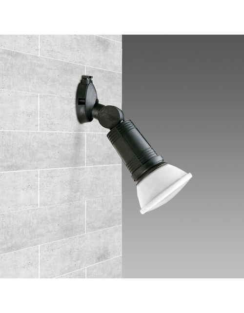 Disano DAFNE spotlight for PAR38 lamps with E27 socket, black colour