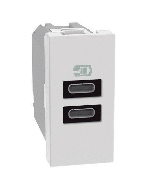 Chargeur USB Bticino MatixGO 15W avec 2 ports de type C Blanc JW4191CC