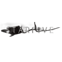Starfive